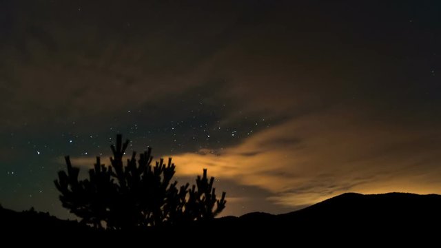 Stars moving over trees in blue night and clouds Time lapse Dolly shot