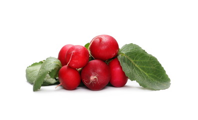 Fresh red radishes with leaves isolated on white background, raphanus raphanistrum, sativus