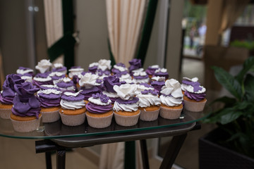 Muffins with cream, wedding sweet table. Purple and white cupcakes. Set of cupcakes. Colorful cream muffins. Catering