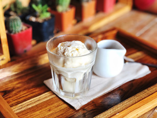 espresso shot in white ceramic jar and Vanilla ice cream in glass on the wooden table with cactus background, Italian Iced Coffee Dessert name is 