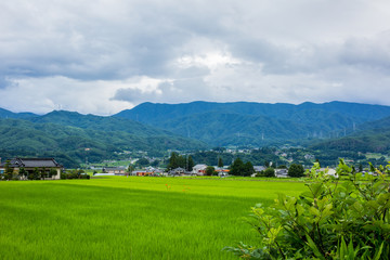 Fototapeta na wymiar Rice field with young shoots against the background of mountains and cloudy sky in the Japanese province in Nagano Prefecture.