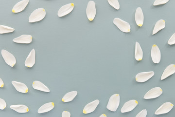 White tender petals in background