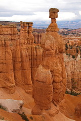 Fototapeta premium View from Navajo Trail in Bryce Canyon in Utah in the USA 