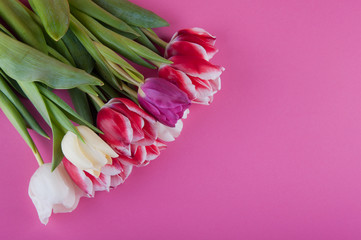 Nice spring bouquet laying on pink background. Flat lay, copy space