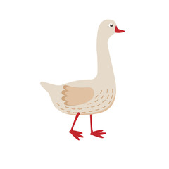 Cute goose vector flat illustration isolated on white background. Farm animal goose cartoon character.