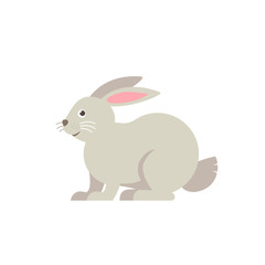 Fototapeta premium Rabbit vector flat illustration isolated on white background. Cute farm animal rabbit icon cartoon character.