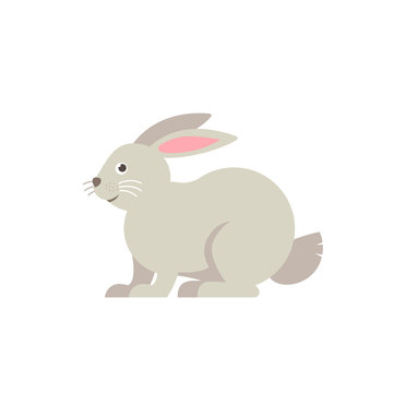 Rabbit vector flat illustration isolated on white background. Cute farm animal rabbit icon cartoon character.