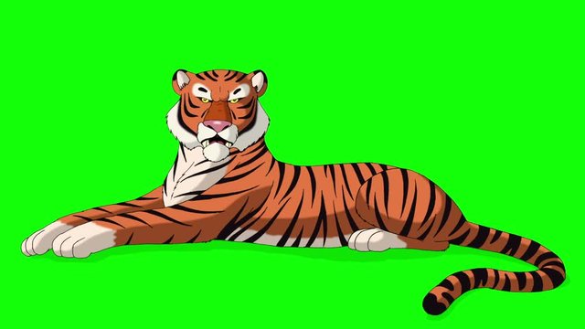 Big Tiger Lies and Growls Chroma Key