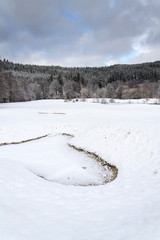 Snow on golf course in winter, forest background, copy space