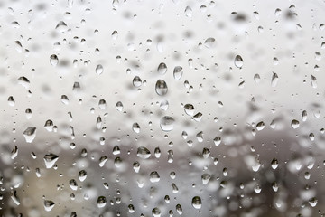Rain Drops on the window