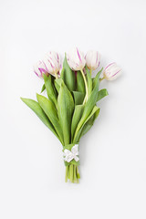 spring flowers on a white background in the studio. tulips