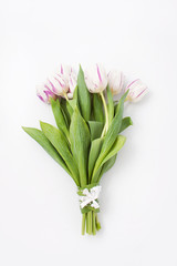 Fototapeta premium spring flowers on a white background in the studio. tulips
