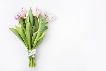 spring flowers on a white background in the studio. tulips