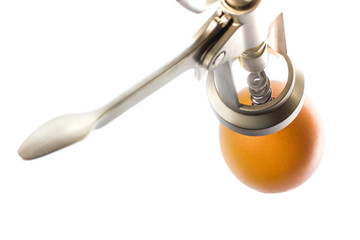 corkscrew opens the egg. the concept of abortion. isolated