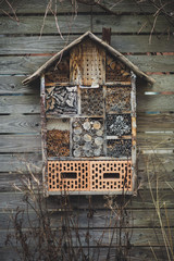Insect hotel on a wooden wall. 