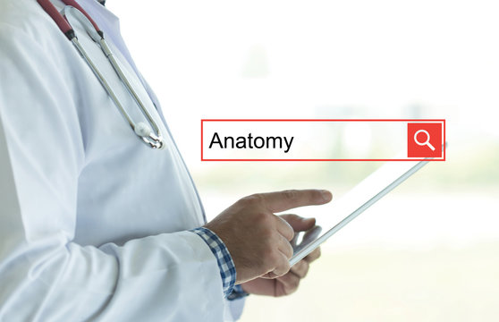 DOCTOR USING TABLET PC AND SEARCHING ANATOMY ON WEB