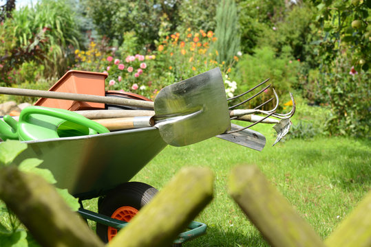 Garten 781