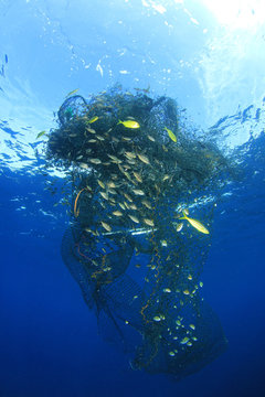 Ghost net. Abandoned fishing net pollution of ocean environment