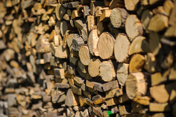 Pile of stacked firewood