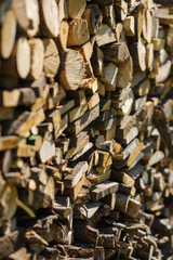 Pile of stacked firewood