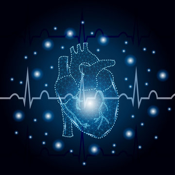 human heart polygon on ECG blue 3