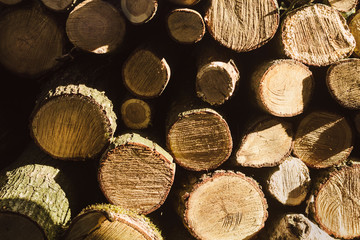 Background of firewood. Brown Wood texture. Pile of firewood. Preparation of firewood 