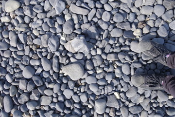 アイスランド、海岸の砂利