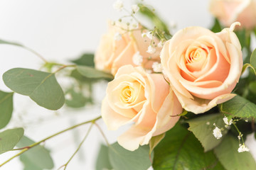 Peach roases with eucaluptus hearts leaves