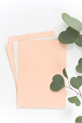 Cream handmade peper for text, invitations eith eucaluptus