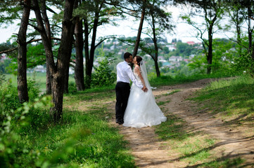 Beautiful wedding couple in forest