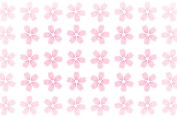 桜 パターン 花 春 白背景