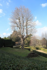 Giardino di Boboli - Firenze