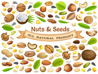 Poster seeds sunflower, pumpkin, and corn. Nuts cashew, brazilian nut, coconut, cedar, hazelnut, cashew, almonds, walnut, nutmeg, pecan, peanut, macadamia, pistachio.