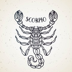 Beautiful line art filigree zodiac symbol. Black sign on vintage background. Vector clipart.Elegant jewelry tattoo. Scorpio