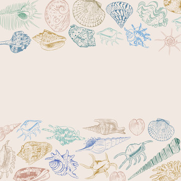 composition Summer concept with Unique museum collection of sea shells rare endangered species, molluscs Khaki blue green brown contour on beige background. card banner design. Vector
