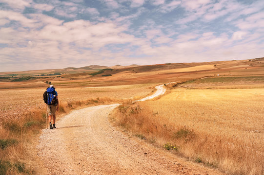 Way of St.James, Pilgrim walking in the Tierra de Campos, Burgos, Castile and Leon, Spain