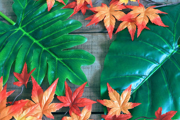 Maple leaf decorate on wood plate background