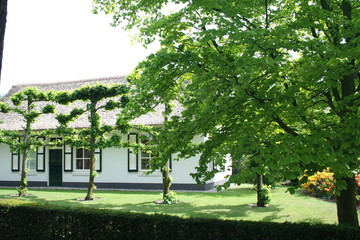 typical dwelling, farmhouse  in Teteringen