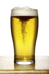 delicious glass of beer with foam on white