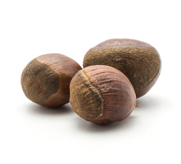 Three European chestnuts Spanish edible isolated on white background raw fresh brown nuts.