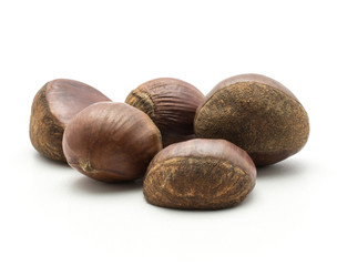 Five European chestnuts set Spanish edible isolated on white background raw fresh brown nuts.