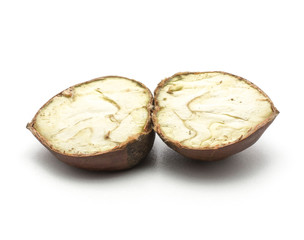 One sliced European chestnut isolated on white background one Spanish edible cut in two halves raw fresh brown nuts creamy flesh.