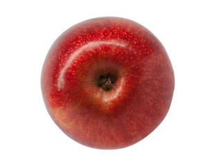 Red apple fruits on the white background.