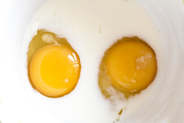 omelette from eggs and milk