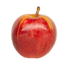 Red apple fruits on the white background.