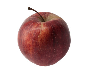Red apple fruits on the white background.