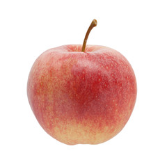Red apple fruits on the white background.