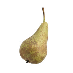 Front view of conference pear isolated on white	