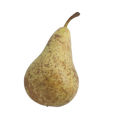 Front view of conference pear isolated on white	