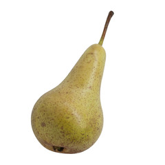Front view of conference pear isolated on white	